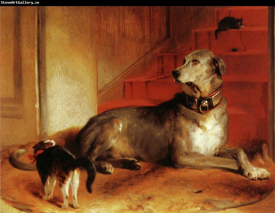 Sir edwin henry landseer,R.A. Lady Blessingham's Dog